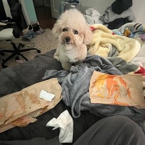 Meet your Posher, Kyra